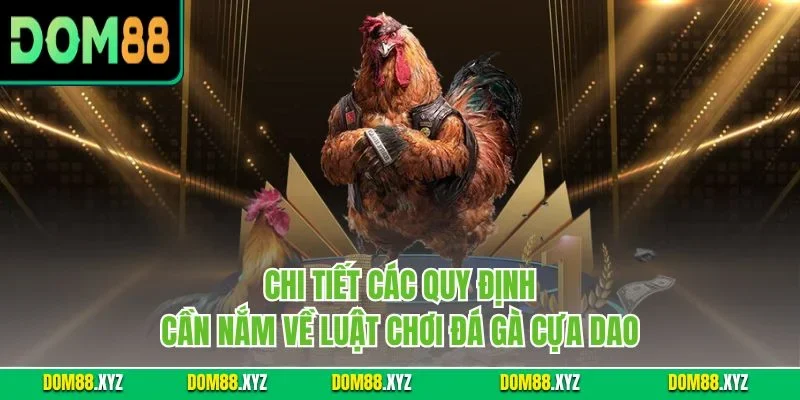 Chi tiết các quy định cần nắm về luật chơi đá gà cựa dao