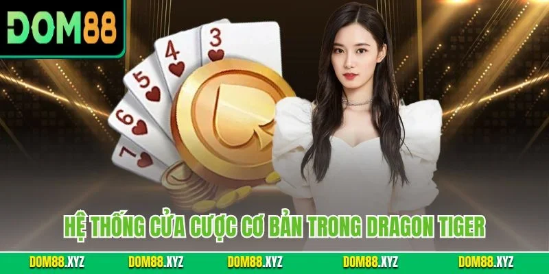 Hệ thống cửa cược cơ bản trong Dragon Tiger