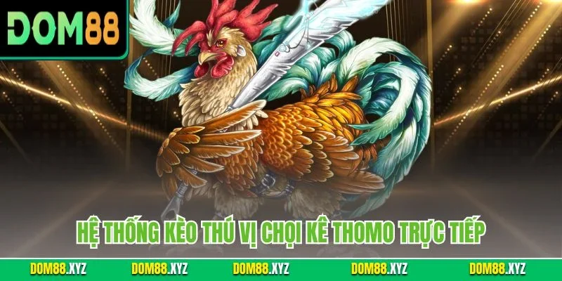 Hệ thống kèo thú vị chọi kê Thomo trực tiếp