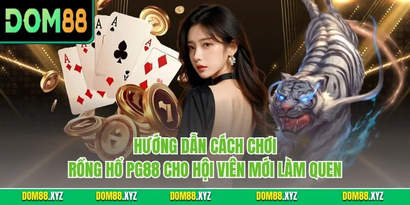 Hướng dẫn cách chơi Rồng Hổ PG88 cho hội viên mới làm quen