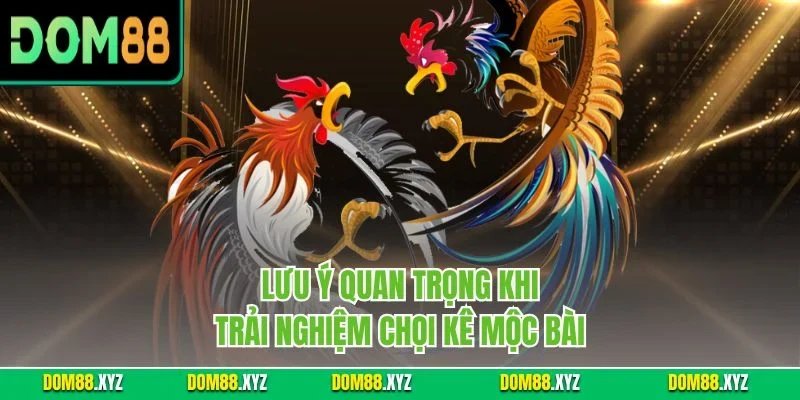 Lưu ý quan trọng khi trải nghiệm chọi kê Mộc Bài