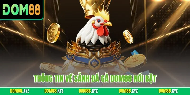 Thông tin về sảnh đá gà DOM88 nổi bật