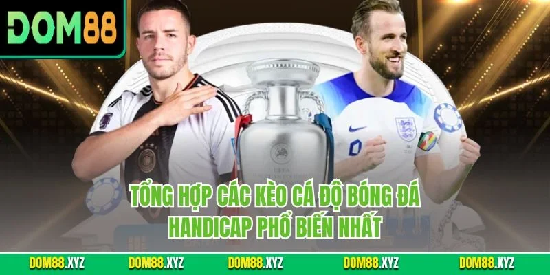 Tổng hợp các kèo cá độ bóng đá Handicap phổ biến nhất