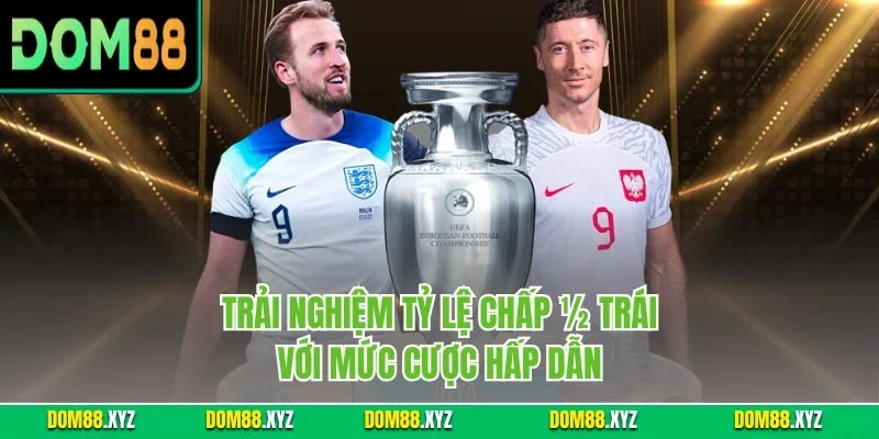 Trải nghiệm tỷ lệ chấp ½ trái với mức cược hấp dẫn